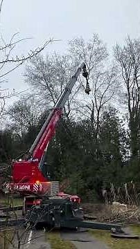 Safely and efficiently remove trees with a Magni RTH 6.30 telehandler and a GMT050 TTC #grapplesaw