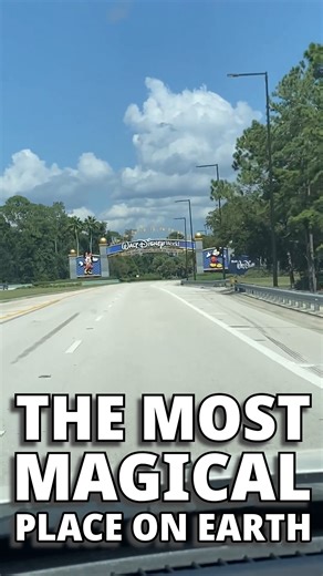 27K views · 457 reactions | The Most Magical Place on Earth! | Chip and Company | Facebook