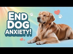 7 Powerful Tips to Eliminate Dog Anxiety for Good!