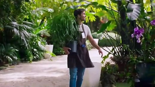 The Abigail Mysteries 2024 - New Hallmark movie 2024 - Best Hallmark movies 2024 full -Holiday movie