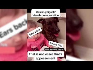 Stress signs in dogs with children