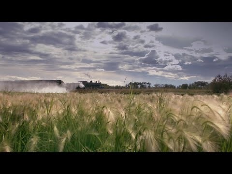 The Outlaws - Green Grass And High Tides