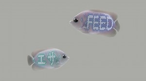 274K views · 1.4K reactions | Universal Everything explores potential...