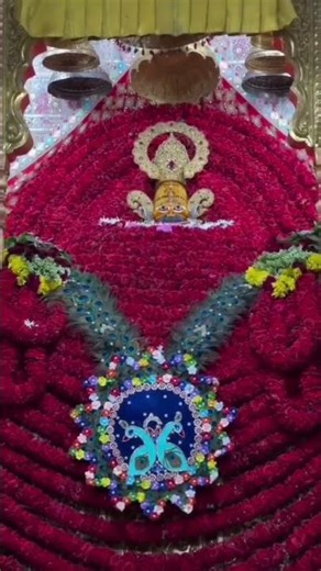 nile ghode wale ki jai ❤️❤️❤️❤️