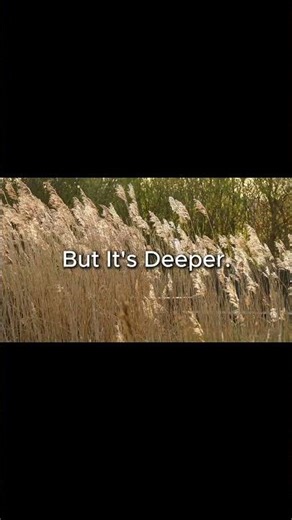 Miss Texas? We're Building Something For You 🤠 | Snacks of Texas