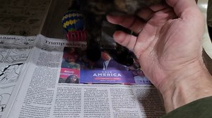 10K views · 3.2K reactions | This three-and-a-half-year-old princess...