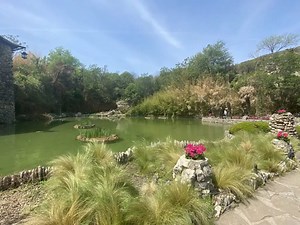 25 Fun Things to Do in San Antonio, Texas, San Antonio, Texas