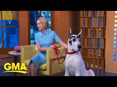 Naomi Watts discusses her new film, 'The Friend'