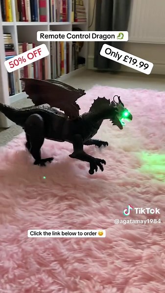 Remote Control Dragon Toy for Kids - 50% Off Now
