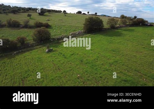 Aerial high angle static shot shows a person walking downhill on a path dividing rural properties in a sloped field with tall trees and cloudy sky in late afternoon in Greece, Europe Stock Video Footage - Alamy