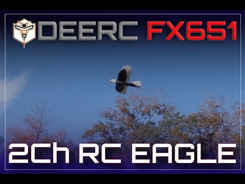 Flying the DEERC FX651 RTF 2 CH RC Eagle RC Plane