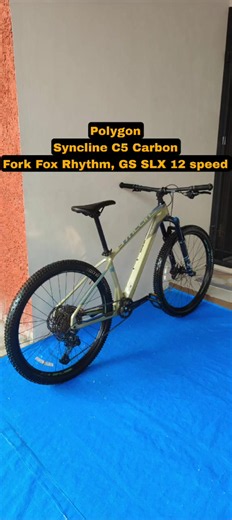 Polygon Syncline C5 Carbon 27.5x2.25 – Spesifikasi & Harga