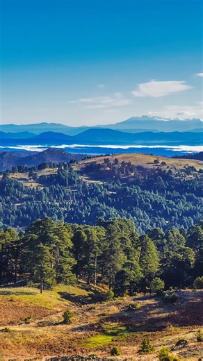 Σήμερα σας καλημερίζουμε με ένα από τα πιο όμορφα Γρεβενιώτικα τοπία 🏔️ Η θέα από Βασιλίτσα, από την Τσούριακα ως τον Όλυμπο Καλημέρα από τα Γρεβενά, όπου κι αν είστε!