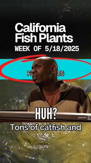 California Fish Plants | 🎣 NOW SoCal Catfish & Trout Plants Are BACK 🔥 💬 Comment "LINK" below and we’ll DM you the 📝 Full Fish Plant Report 📍 Use our... | Instagram