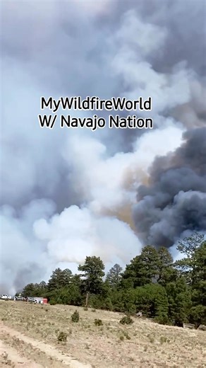 4K views · 93 reactions | Oak Ridge Fire Acres 10,630 6 Miles Southwest of Saint Michaels, Navajo Nation Apache County, AZ Acres 10,630 Containment 1% Status Active | My Wildfire World | Facebook