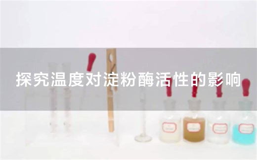 【必修1实验】探究温度对淀粉酶活性的影响酶活性的因素人教版统编教材高中生物学2019新课改新课标