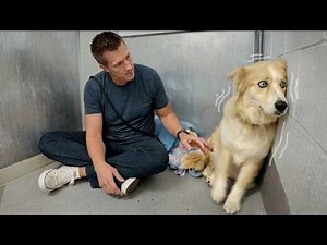 Every Family Walked Past Her..so I Sat Down and Didn't Leave