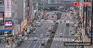 【LIVE】 Live Cam Tokyo - Kabukicho Crossing | SkylineWebcams
