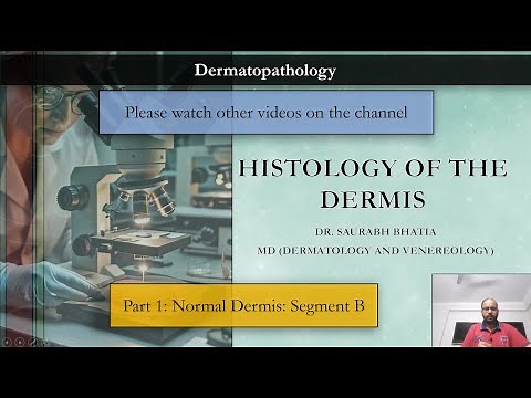 Segment B - Histology of the Dermis: Part 1 - Normal histology: Structures