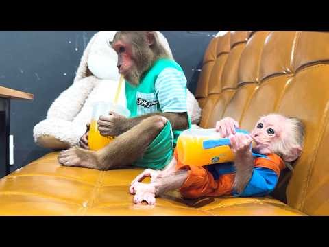 Unexpected! CUTIS Takes BUEM for Coffee in the Funniest Way