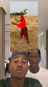 Topa | Arewa Content