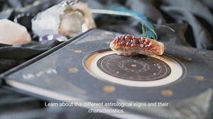 The Impacts of Astrological Sign Compatibility