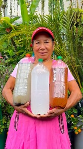 4.8M views · 75K reactions | Cómo usar este agua en los frutales y plantas para abonarlos | Ofelia Perez | Facebook