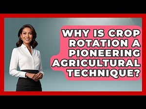 Why Is Crop Rotation A Pioneering Agricultural Technique? - Firsts of the World