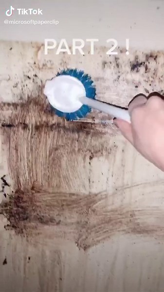 chile- throw the whole apartment away #UnwrapTheDeals #HomeOffice #cleaningtiktok #cleaningasmr #fyp #foryoupage