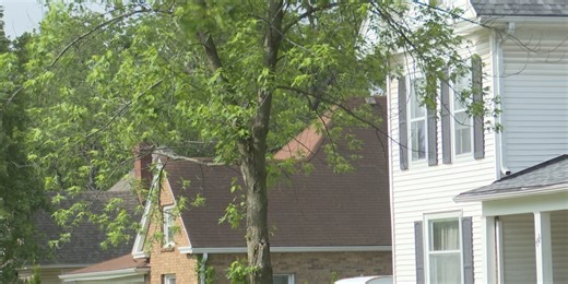 New take on an old project will help improve Springfield neighborhoods