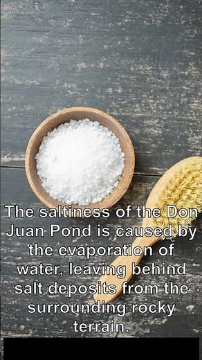 Did You Know? | The Sea That’s Saltier Than Any Other