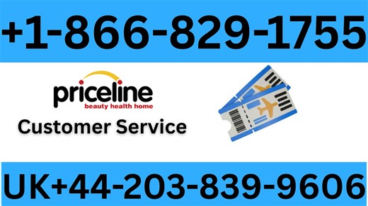Priceline™® Official Customer Services | 24/7 Live Help & Help Guide