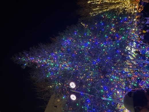 REPORT #4: Hometown Holidays crowd cheers West Seattle Junction tree lighting