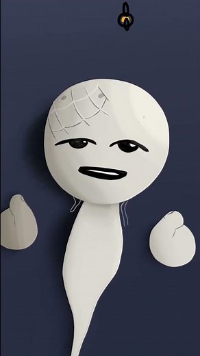 The Fly | The Binding of Isaac Animation