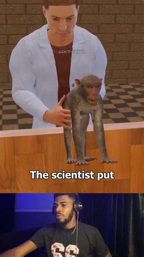 Emotional Bonding in Baby Monkeys: A Shocking Experiment