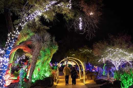 Ethel M’s Holiday Cactus Garden Lights return for 32nd year