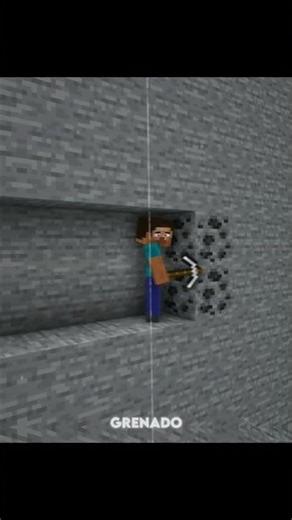 Fake Steve and Notch Learned Their Lesson 💀