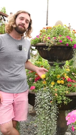 Our Secret to PERFECT Planters: Plant in LAYERS!