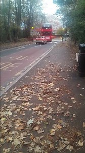 80 Bus Route Near Belmont Station #Buses #Busjourneys #Shorts