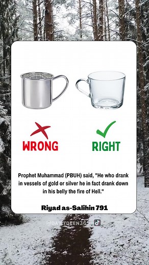 Daily Hadith #hadith #prophetmuhammadpbuh #sunnah #sahihbukhari #dailydeen365 #islamic_video #islamic_media #rasulullah_saw #dailyquotes #muslimah #fy