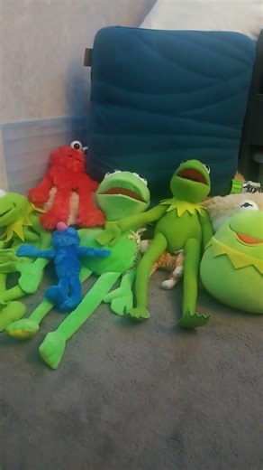 Guess my favorite interest!! 1! 1! 1! #fnaf #tadc #toystory #moomins #muppets