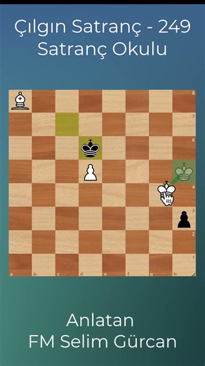 CRAZY CHESS - 249