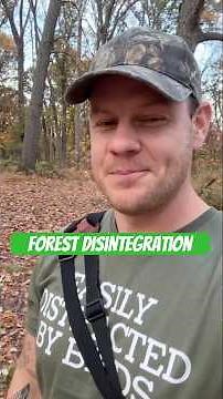 What is “forest disintegration?” #forest #tree #trees #nature #restoration #science #short #shorts