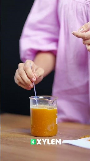 ഒരു Colorful മാജിക്ക് ചെയ്തല്ലോ❗| Xylem Class 5