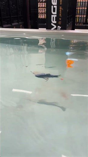 Create Your Most Effective Spinnerbait🔥 #MonoSpinnerbait #SavageGear #Fishing