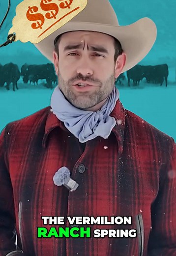 Vermilion Ranch Spring Sale: Angus Bulls & Cattle Deals