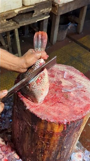 Fresh Tilapia Fish Cutting Skills – Clean & Fast Process #shorts