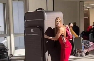 Help foster snuggly pets