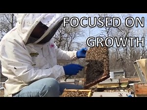 2020 Spring REWIND - Early Spring Nest Management, a cold Canadian Spring- part 1