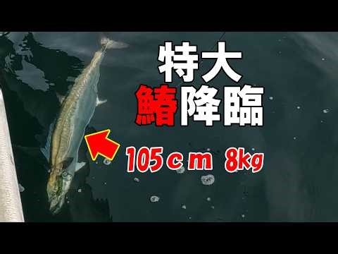 Jigging workshop featuring consecutive catches of 105cm Spanish mackerel and yellowtail.